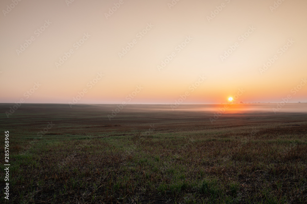 Fototapeta premium Sunrise on the empty field in the morning mist.