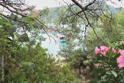 Flowers in the park