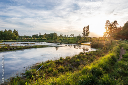 Quadro em tela Diepholz Bog in Low Saxony, Germany