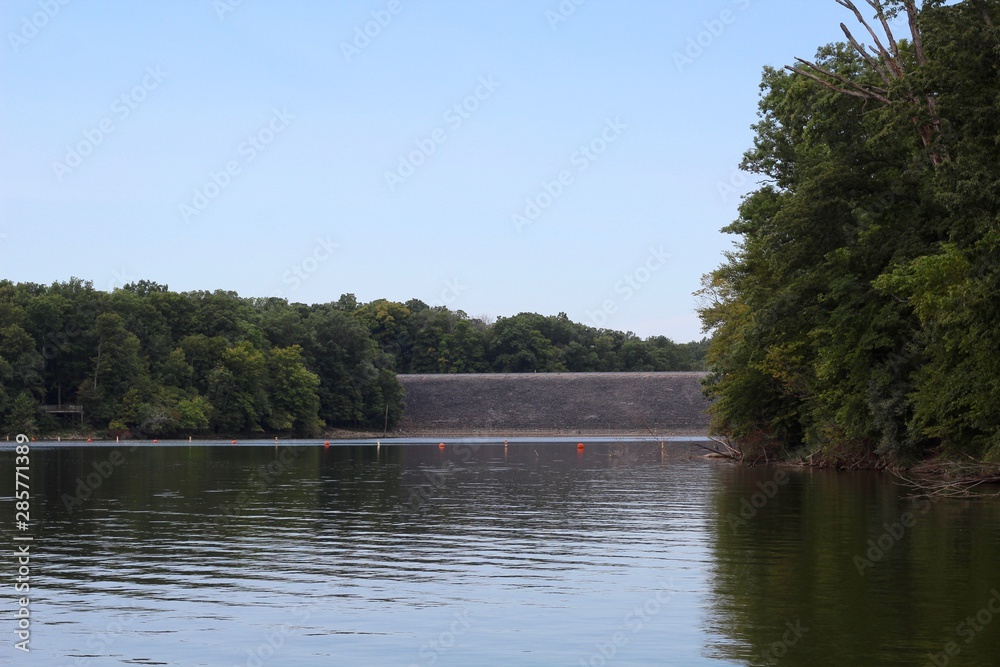 A view of the lake in the park on a summer day. A view of the lake in the park on a summer day.