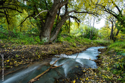 Magnificent nature scenic landscape of autumn season forest with creek flowing in Arrowtown Park  the most popular place for tourists in autumn season in Arrowtown  South New Zealand.