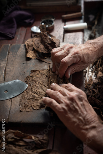 Cigar rolling or making by torcedor in cuba