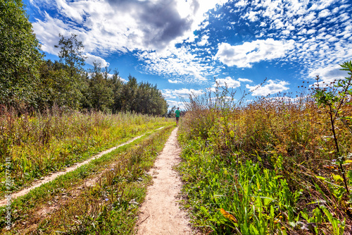 Field with tall grass against a bright blue cloudy sky. Beautiful landscape. Space for text.