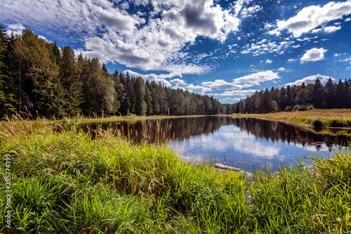 Fototapeta Naklejka Na Ścianę i Meble -  A beautiful transparent forest lake with a bright blue sky reflecting in it.