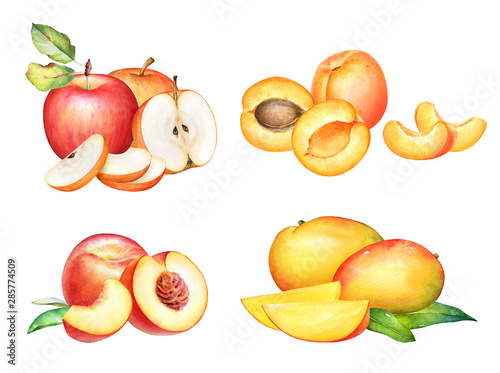 Group of watercolor fruits. Apple, apricot, peach and mango