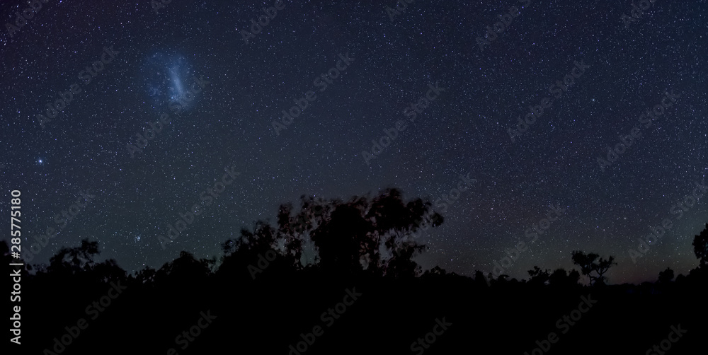 Magellanic Clouds in southern hemisphere night sky above silhouettes of trees in australian outback