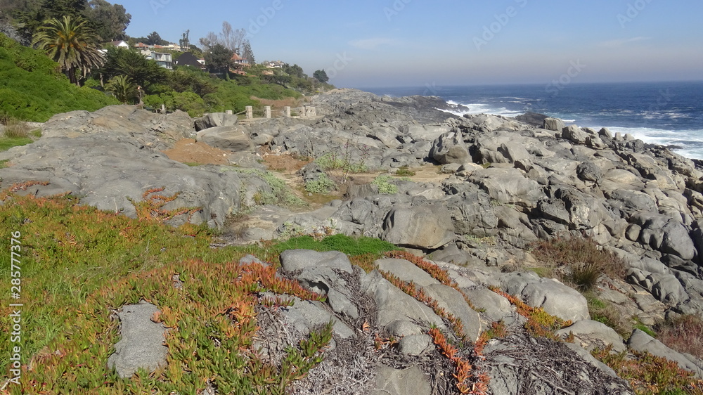 Landscape of rocky beach and nature