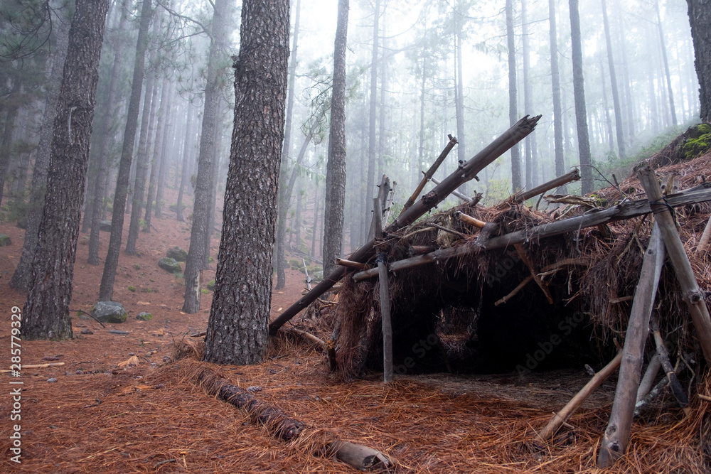 Refugio en el bosque