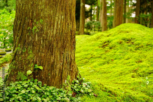 叡智の杜 苔の里