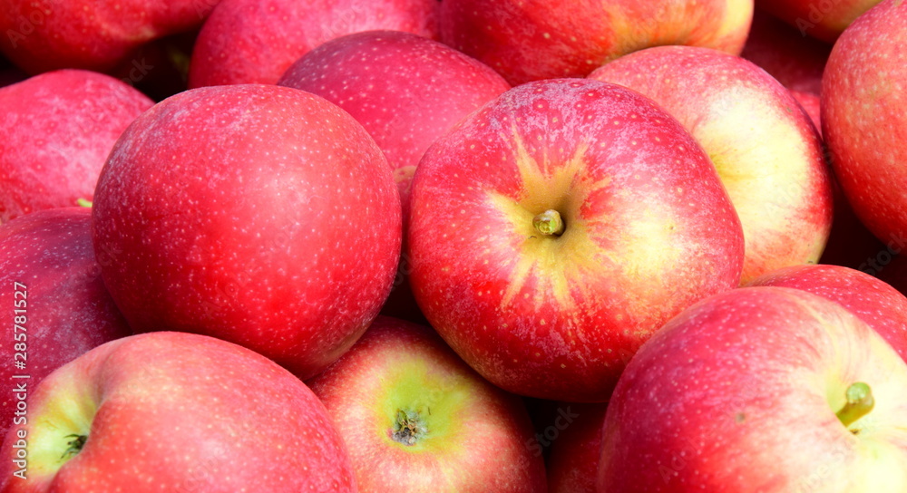 Viele rote Äpfel in einer Kiste nach der Apfelernte Viele rote Äpfel in einer Kiste nach der Apfelernte
