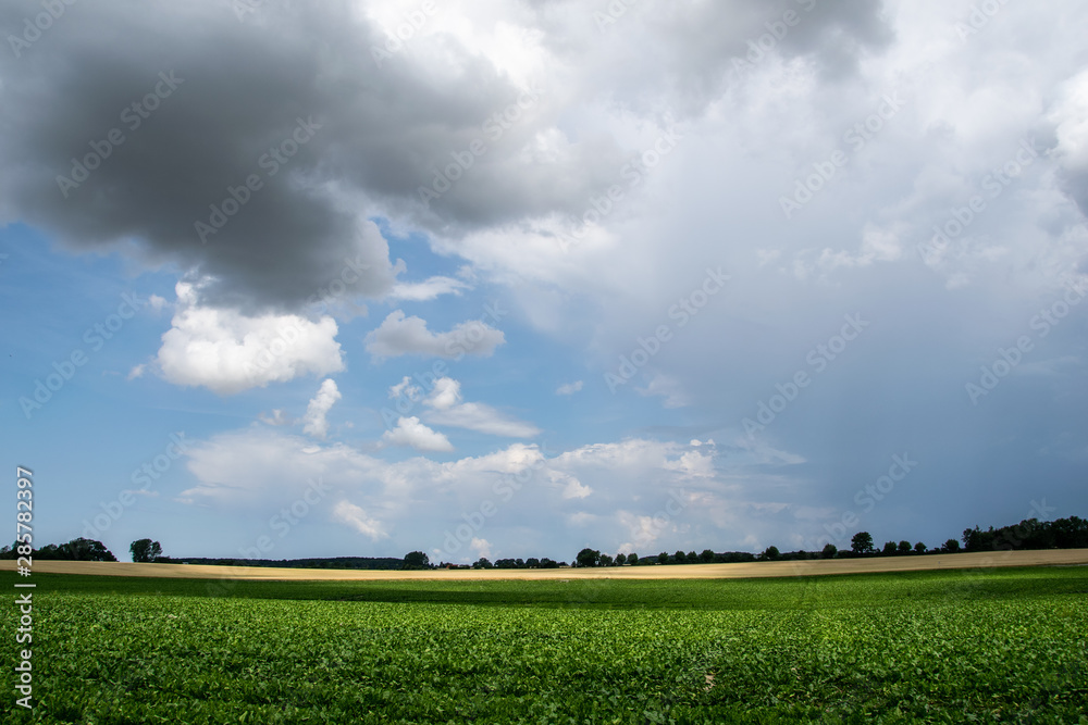 Fototapeta premium Horizont Wolken Himmel über dem Feld