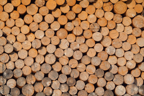 Beautiful background of round firewood for the fireplace.