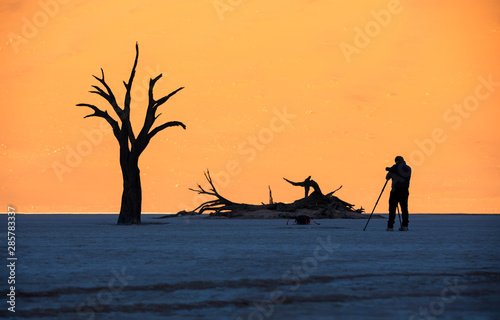 Dead acacia trees casting shadows during sunrise in arid Deadvlei pan. Sossusvlei, Namibia. © Kertu