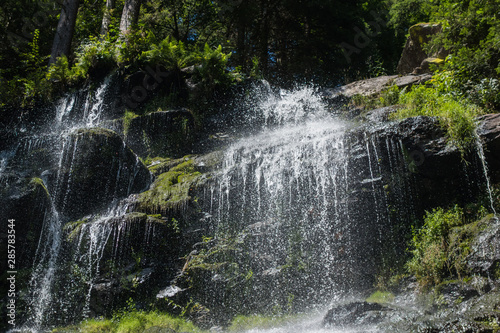 Wandern im Schwarzwald durch Wald und an Fl  ssen