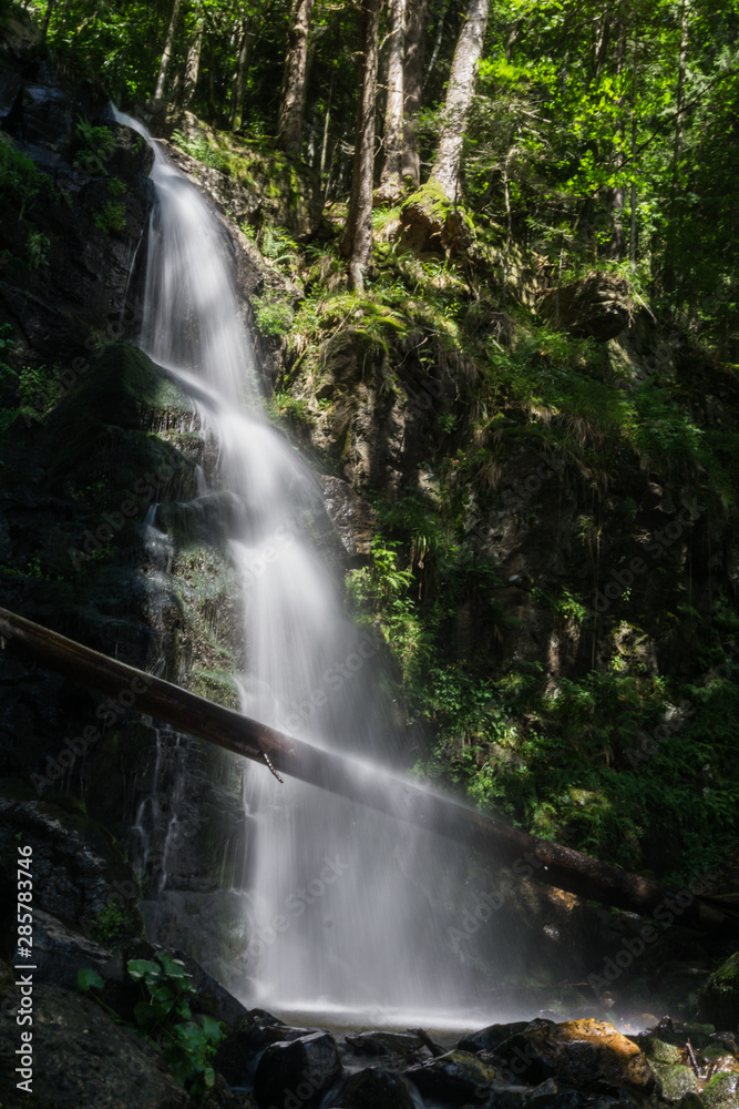 Wandern im Schwarzwald durch Wald und an Flüssen Wandern im Schwarzwald durch Wald und an Flüssen