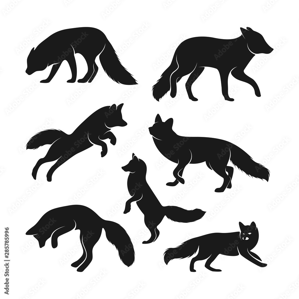 Set of Fox Logo Vector. Animal Coyote Logo Design Template Illustration