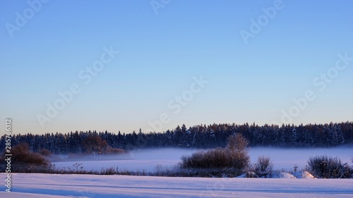 fog over the snow by forest