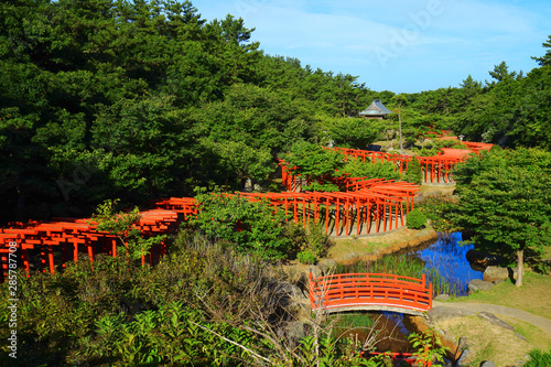 Photos Torii gates at Takayama Inari Shrine, Aomori Pref., Japan