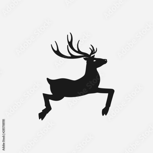 deer with antler on white background