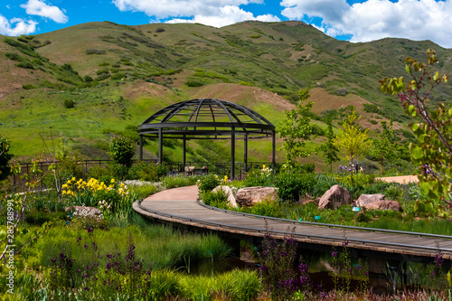 Fresh plants and flowers blooming in the red butte garden in the heart of downtown Salt Lake city, UT