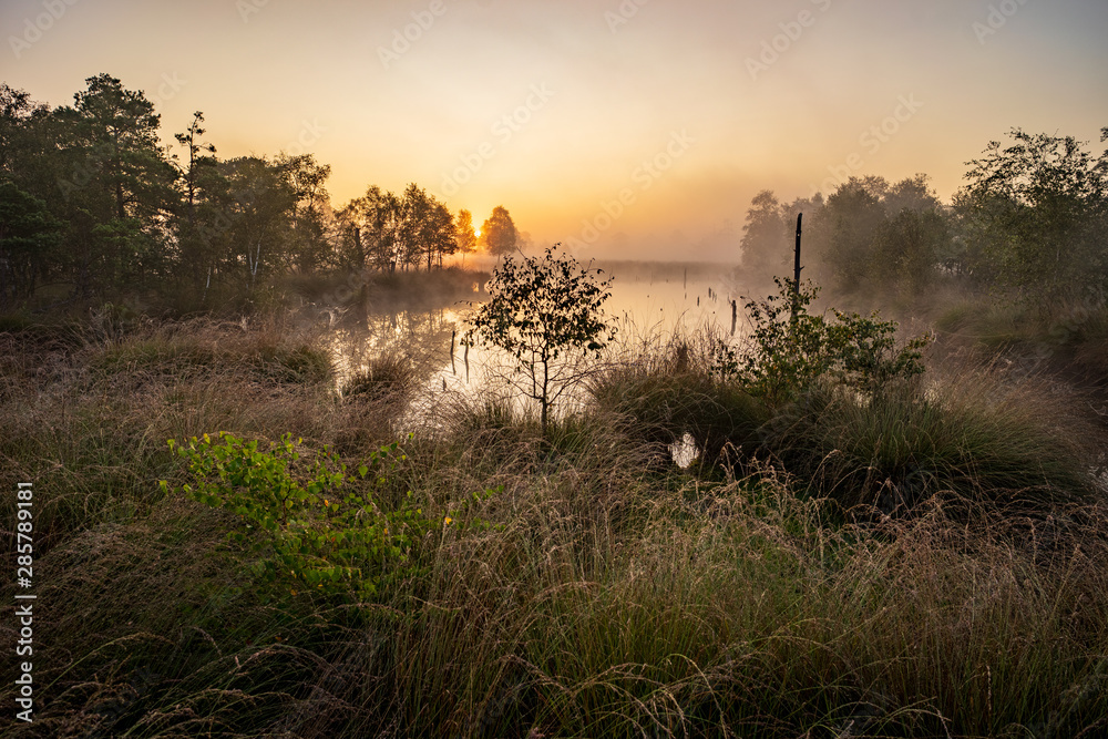 Sonnenaufgang im Pietzmoor bei Schneverdingen in der Lüneburger Heide