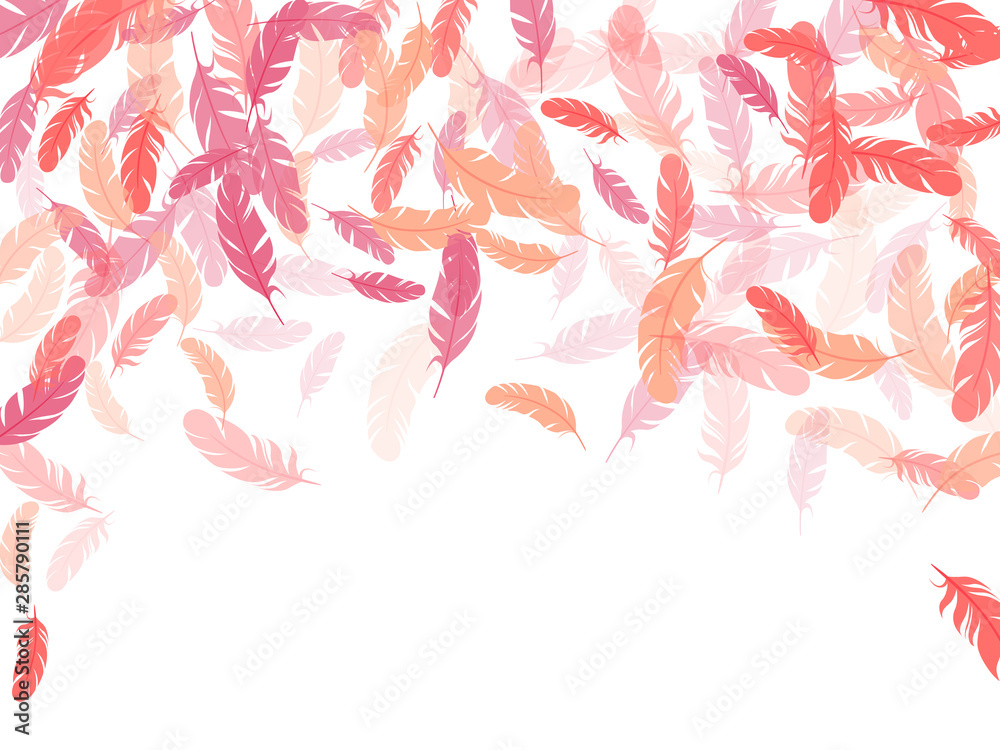 Fluffy twirled feathers on white design. Fluffy twirled feathers on white design.