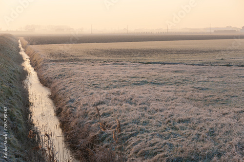 Field in winter