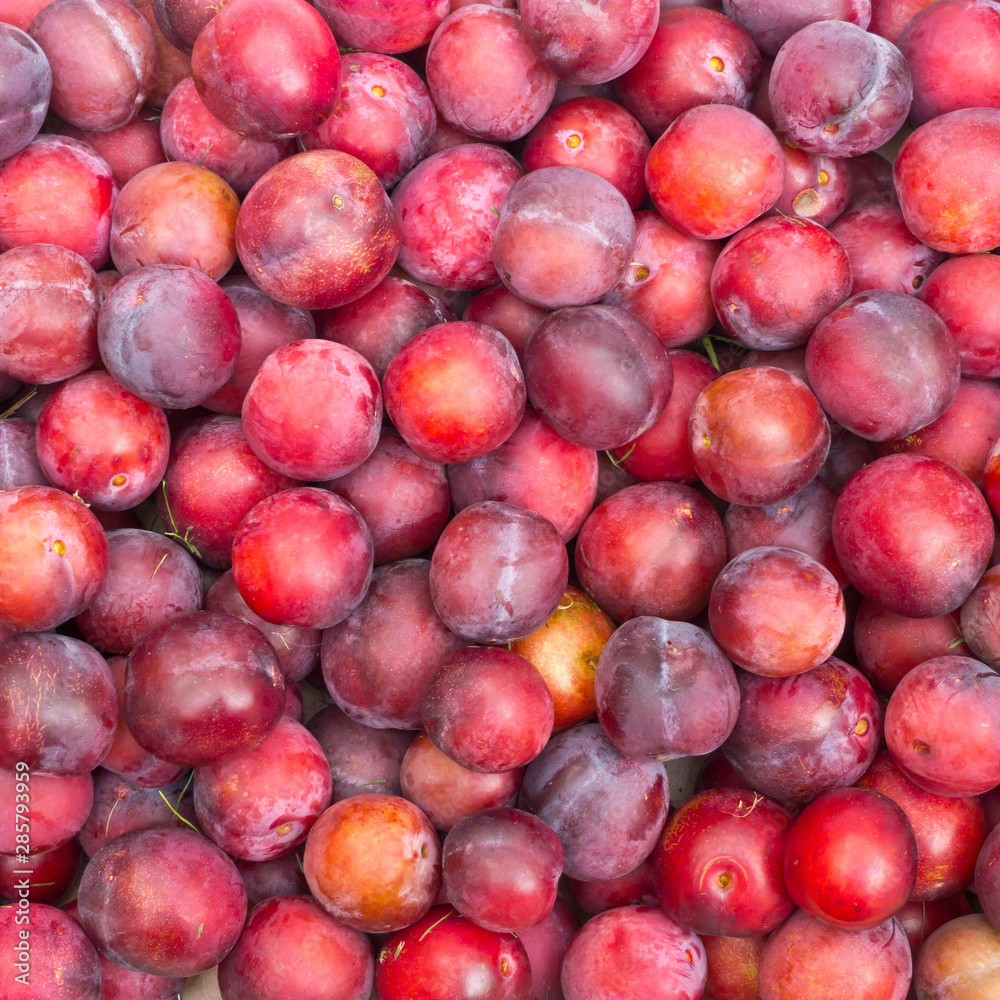 Plums harvest for texture or background Plums harvest for texture or background