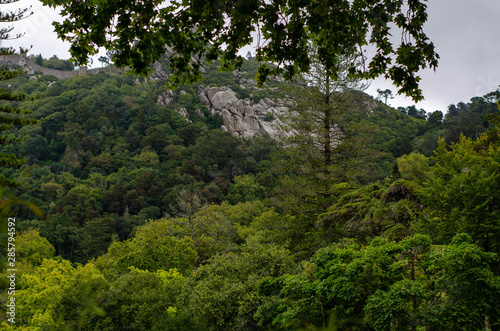 Mountain rocks in green area in Sintra park Portugal