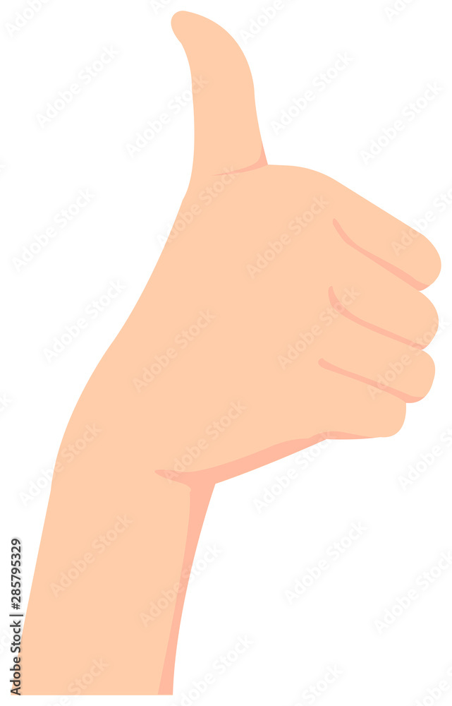 Female hand gesture (hand sign) vector illustration / thumb up
