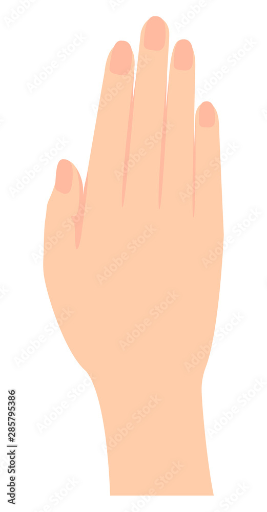 Female hand gesture (hand sign) vector illustration Female hand gesture (hand sign) vector illustration