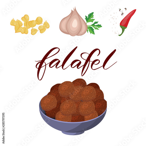 Recipe Falafel. Chickpea Onion Garlic Parsley Chilli Pepper Cumin, Coriander. Vegetables, Herbs, Speaces. Vector.