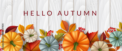 Autumn banner with pumpkin from top, fall leaf and red berry on white wood background. Horizontal vector illustration for autumn season design, harvest banner template, or Thanksgiving background
