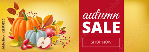 Sale banner for autumn with pumpkin, apple, leaf, berry and leaf, on yellow background. Vector illustration with harvest season plant, for sale template design, special offer or Thanksgiving card