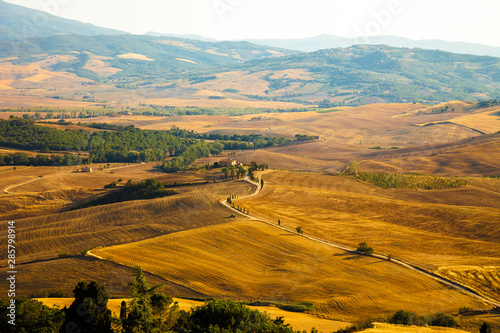 Typical Tuscan landscape at sunset. photo