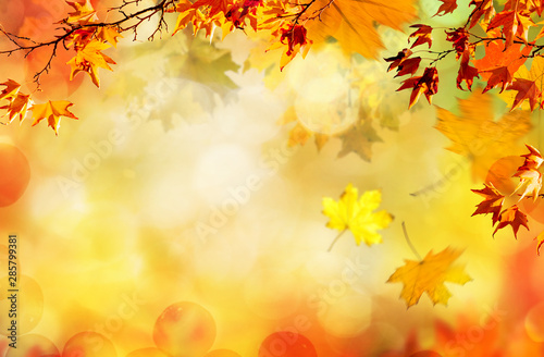 autumn natural background