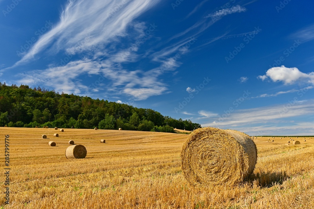 Beautiful summer landscape. Agricultural field. Round bundles of dry grass in the field with bleu sky and sun. Hay bale - haystack.