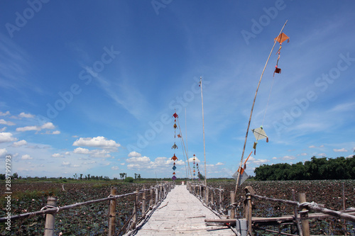 sky  fieid nad bird in nature photo