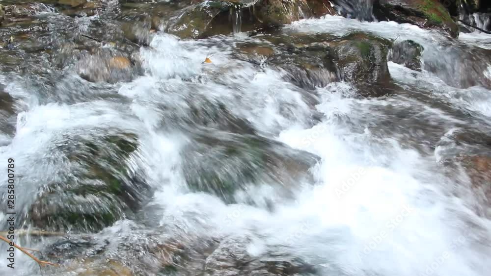 渓流 水の流れ 環境音あり 渓流 水の流れ 環境音あり