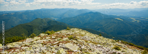 Panorama of Carpathian mountains in summer sunny day ,Travel at Ukraine. Beauty of nature concept.