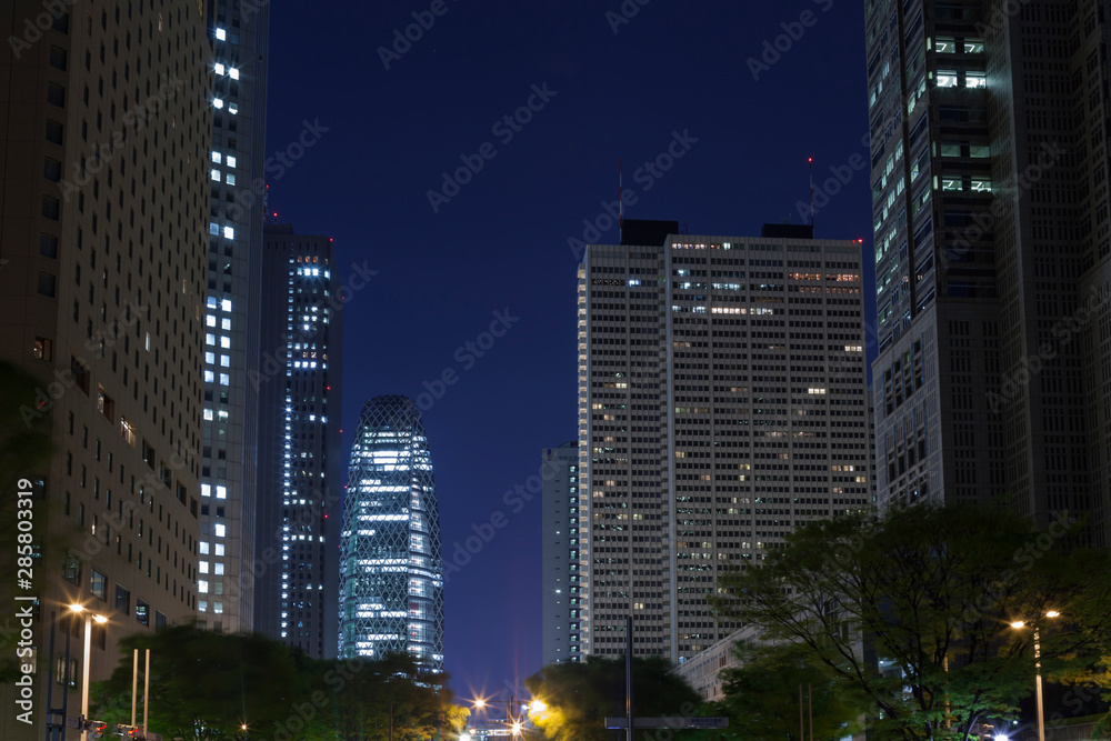 Fototapeta premium 新緑の新宿副都心 夜景