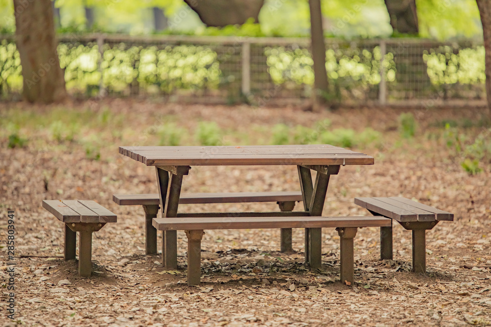 Naklejka premium 夏 風景