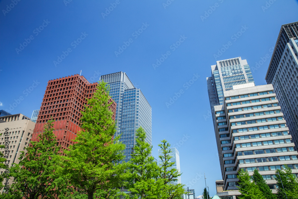 新緑の街路樹と丸の内ビル群　東京