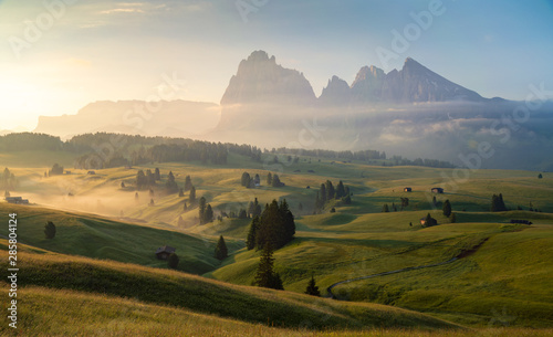 Seiser Alm (Alpe di Siusi) with Langkofel mountain at sunrise in summer, Italy photo