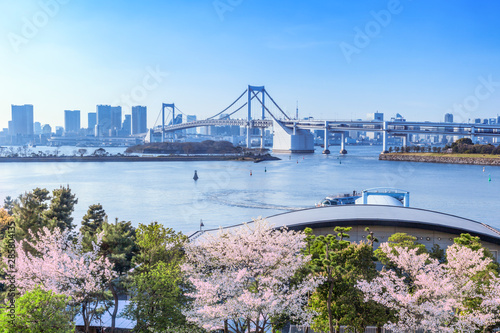 Sticker さくら咲くお台場　東京