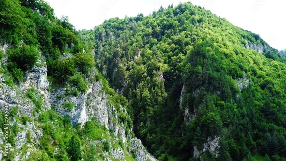 Flyover Green Fir Mountains Forest Flyover Green Fir Mountains Forest