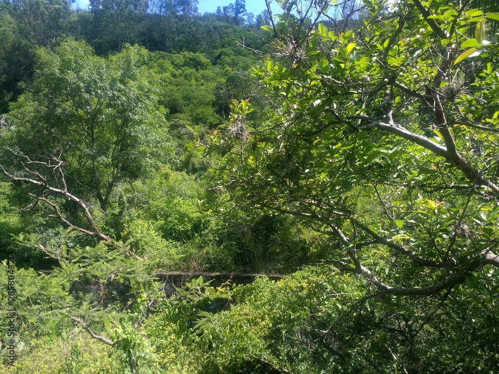 Paseo de Montaña