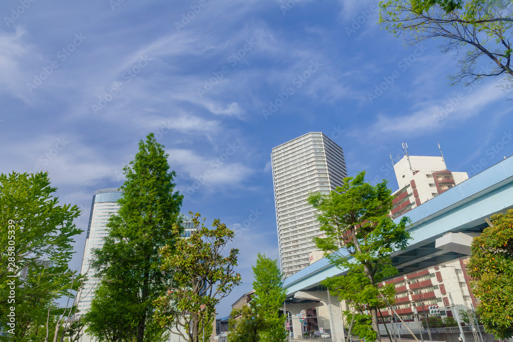 Fototapeta premium 春の豊洲市街 東京