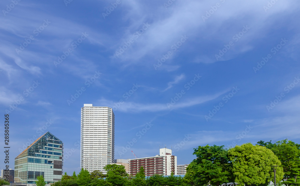 春の豊洲市街　東京