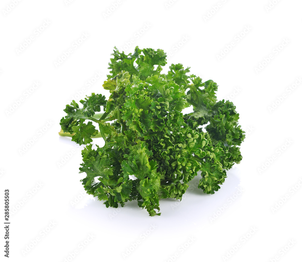 Obraz premium parsley isolated on a white background